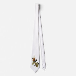 Fuertes' Chestnut-backed Chickadee Tie