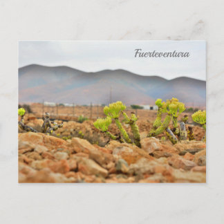 Fuerteventura mountains postcard