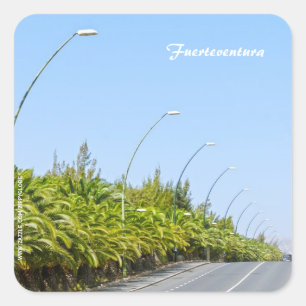 Fuerteventura Sticker