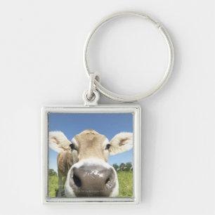 Fuessen, Bavaria, Germany Key Ring
