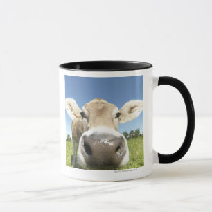 Fuessen, Bavaria, Germany Mug