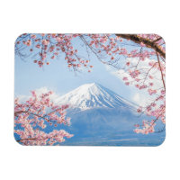 Fuji Mountain | Kawaguchiko Lake | Spring In Japan