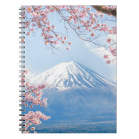 Fuji Mountain | Kawaguchiko Lake | Spring In Japan