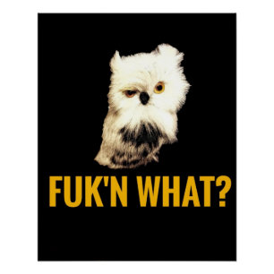 Fuk'n What? Poster