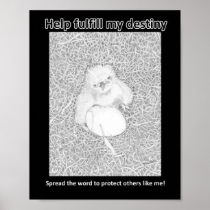 FULFILL MY DESTINY SAVE WILDLIFE RAT POISON KILLS POSTER