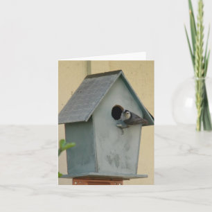 FULL BIRDHOUSE BLANK NOTECARD