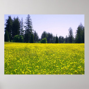 Full bloom poster