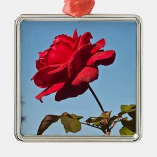 Full Bloom Rose at the Rose Bowl, Pasadena Califor Metal Ornament