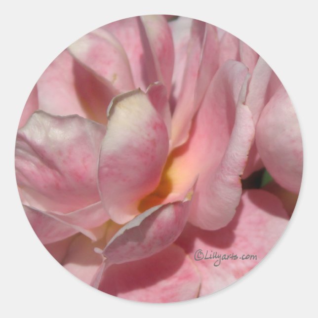 Full Bloom Rose Wedding Envelope Seal (Front)