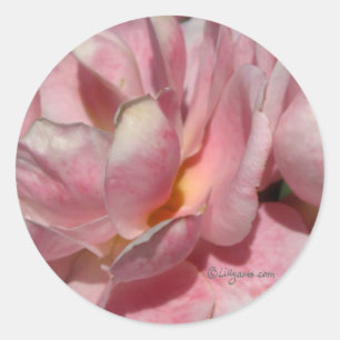 Full Bloom Rose Wedding Envelope Seal