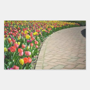 Full bloom tulip path - beautiful sticker