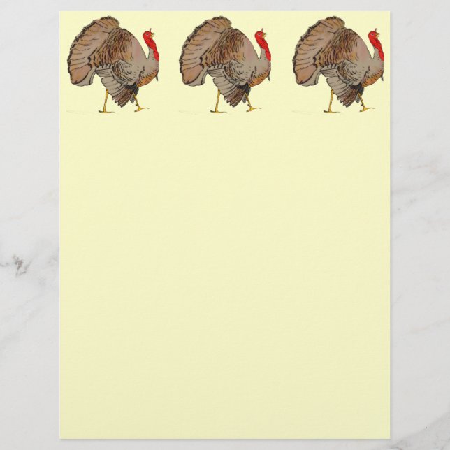 Full Colour Thanksgiving Turkey (Front)