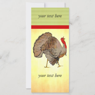 Full Colour Thanksgiving Turkey