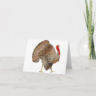 Full Colour Thanksgiving Turkey Holiday Card