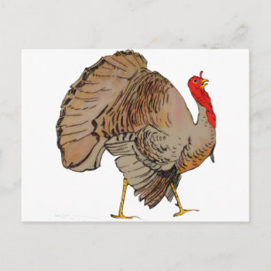 Full Colour Thanksgiving Turkey Holiday Postcard