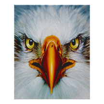 Full Face Eagle