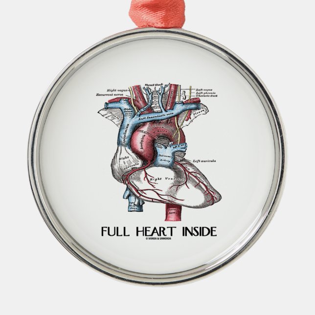Full Heart Inside (Anatomical Illustration) Metal Ornament (Front)