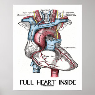 Full Heart Inside (Anatomical Illustration) Poster