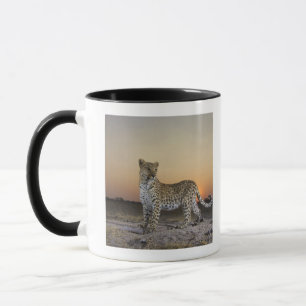Full length view of Leopard (Panthera pardus) Mug