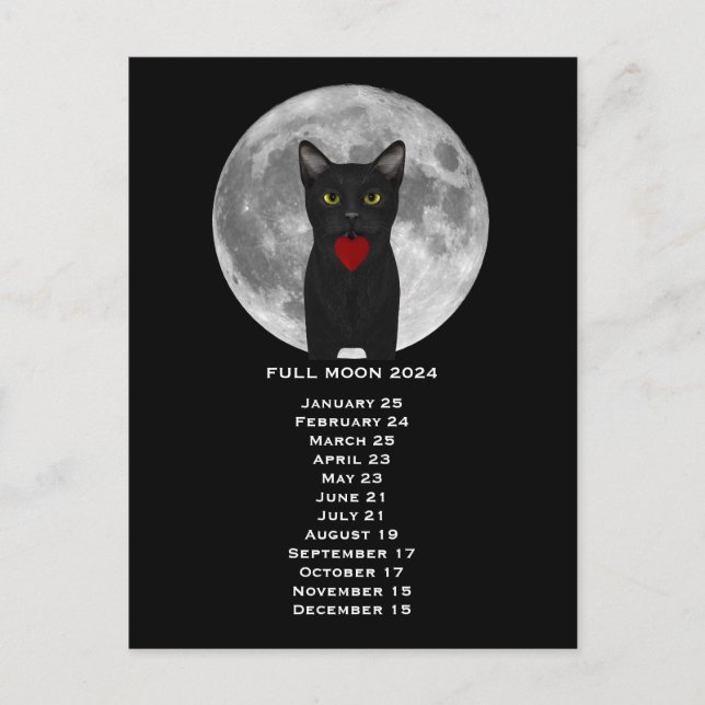 Full Moon 2024 Us Eastern Time Postcard (Front)