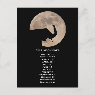 Full Moon 2025 Postcard