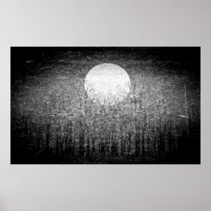 Full Moon #7 Poster
