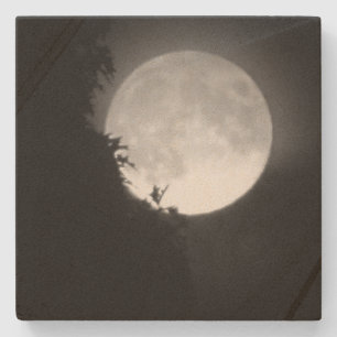 Full Moon and Tree Stone Coaster