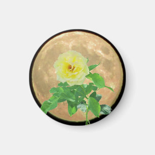 Full Moon and Yellow Rose Bloom Silhouette Magnet