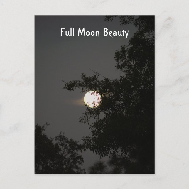 Full Moon Beauty Postcard (Front)