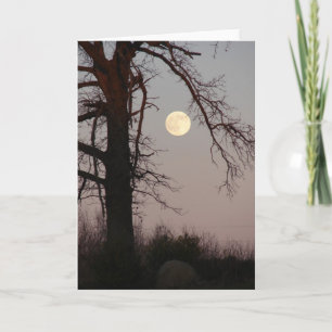 Full Moon Card