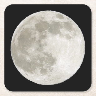 Full Moon Coaster