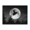 full moon flying pig postcard