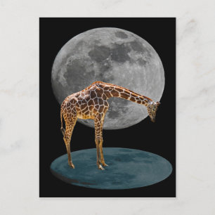 FULL MOON GIRAFFE POSTCARD