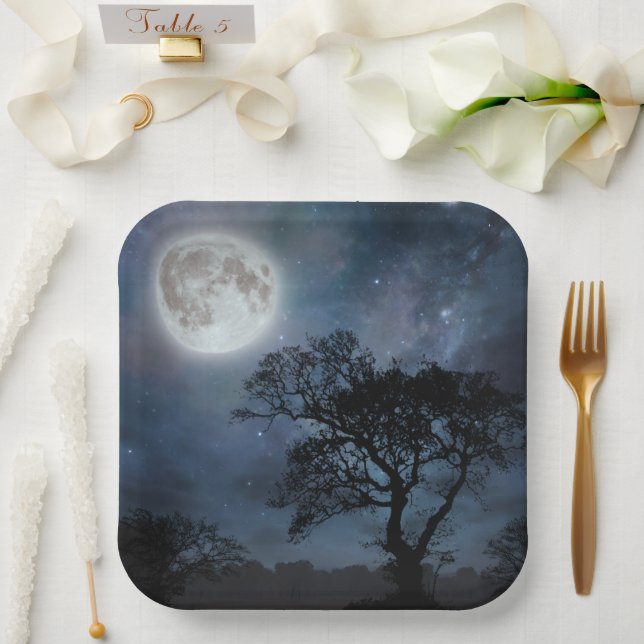 Full Moon in a Starry Sky Paper Plate (Wedding)