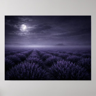 Full Moon Lavender Field Poster - Misty Night