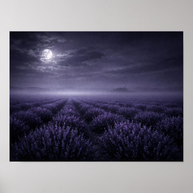 Full Moon Lavender Field Poster - Misty Night (Front)