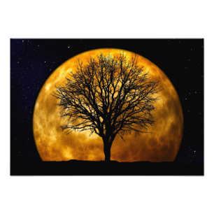 Full Moon Midnight Photo Print