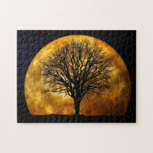 Full Moon Midnight Puzzle