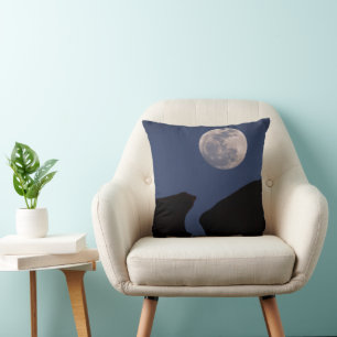 Full Moon Monument Valley, Arizona Cushion