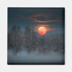 Full Moon   November in Scalenghe, Italy Magnet