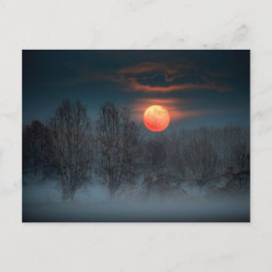 Full Moon   November in Scalenghe, Italy Postcard