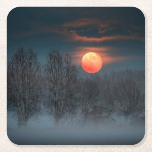 Full Moon   November in Scalenghe, Italy Square Paper Coaster