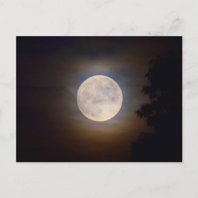Full Moon on a Misty Evening -  Postcard (Front)