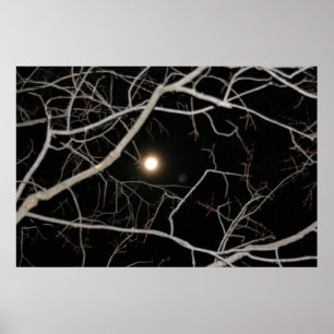 Full Moon on the Web poster