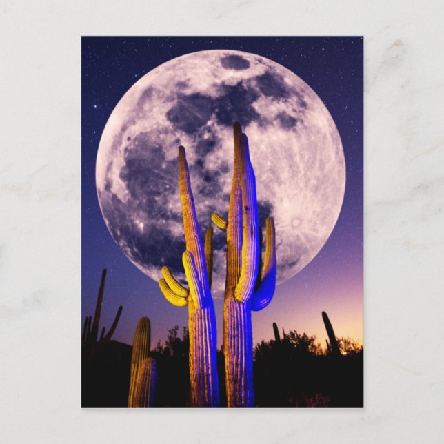 Full Moon Over Saguaro Cactus Postcard (Front)