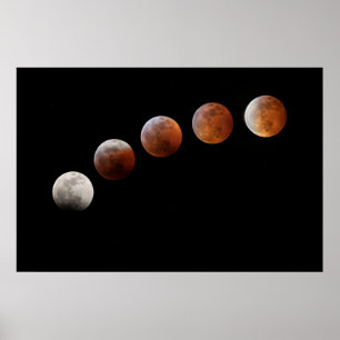 Full Moon Phases Total Lunar Eclipse   Colorado Poster