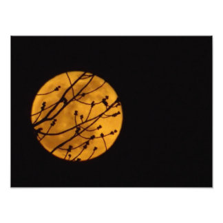 Full Moon Photo Print