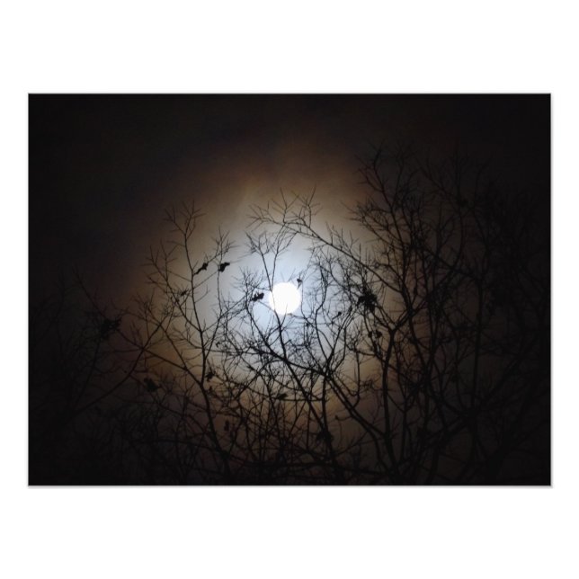 Full Moon Photograph (Front)
