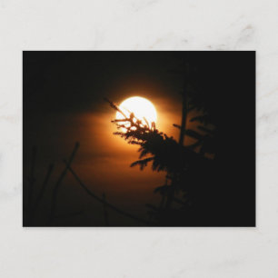 Full Moon Postcard