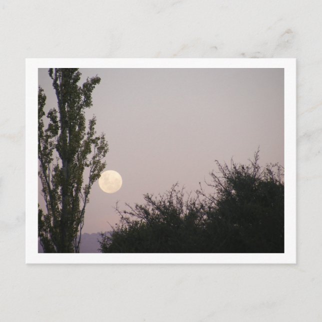full moon postcard (Front)